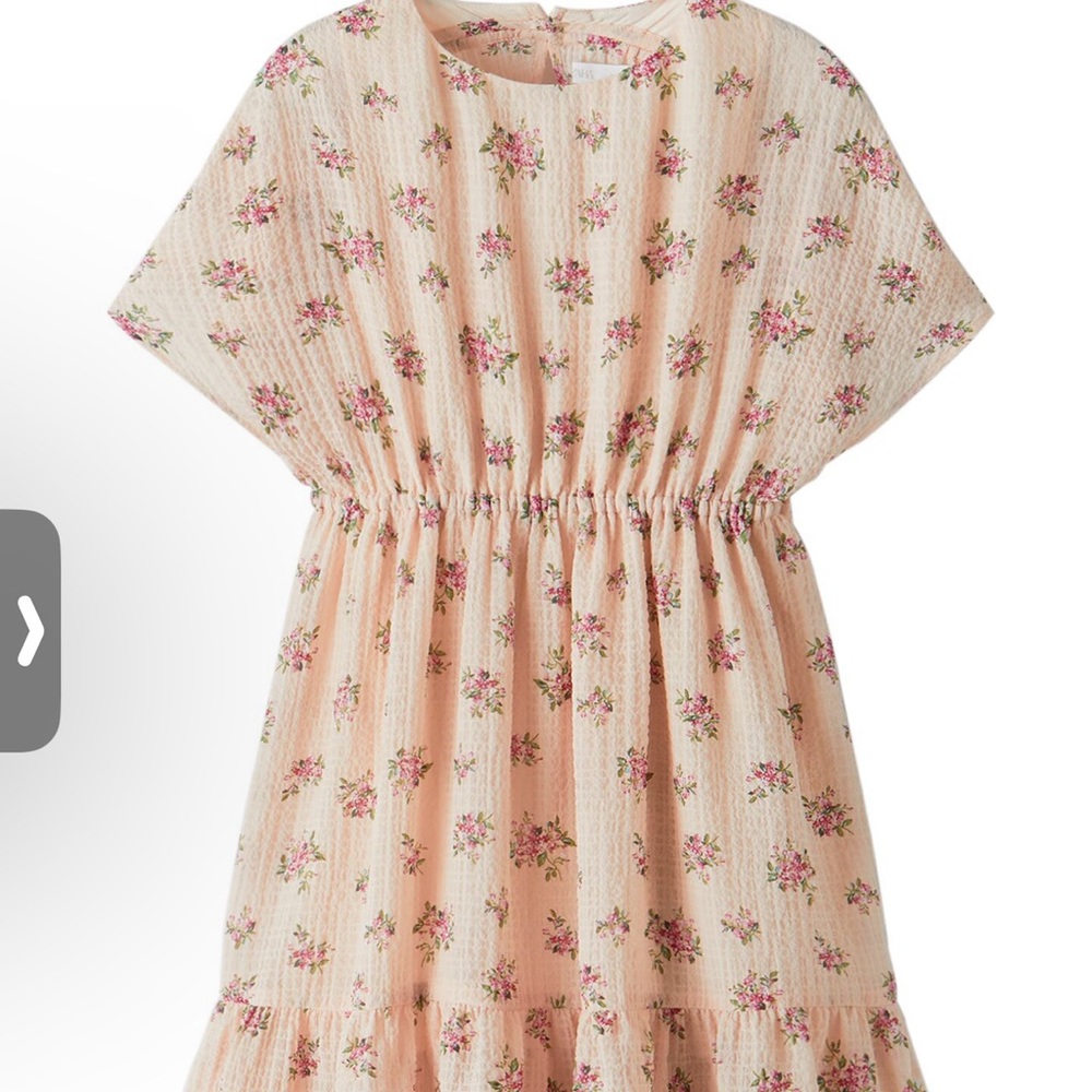 Zara Girl Beautiful Dress. NWT